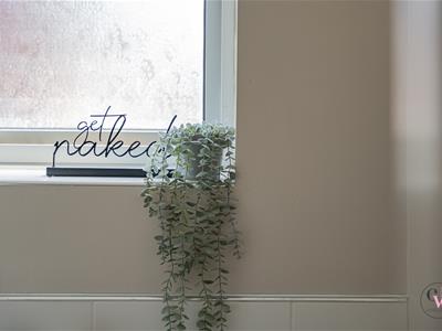 Picture 47